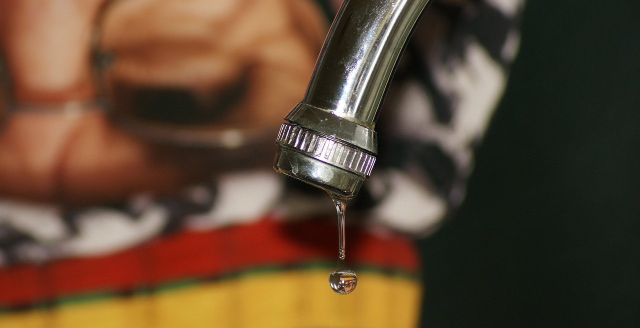 Detecting Water Leaks